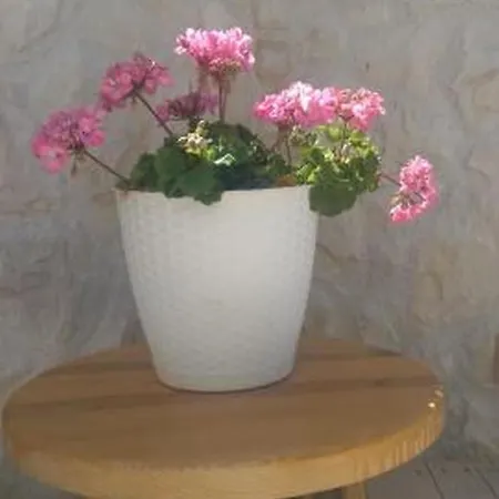 شقة Ferienwohnung In Privlaka Mit Grill, Terrasse Und Garten